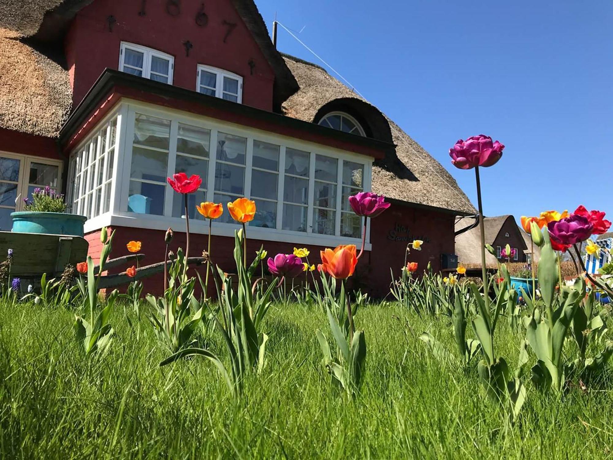 Hues Sanskiin Ferienwohnung *Brombelbei* Suddorf Exterior foto